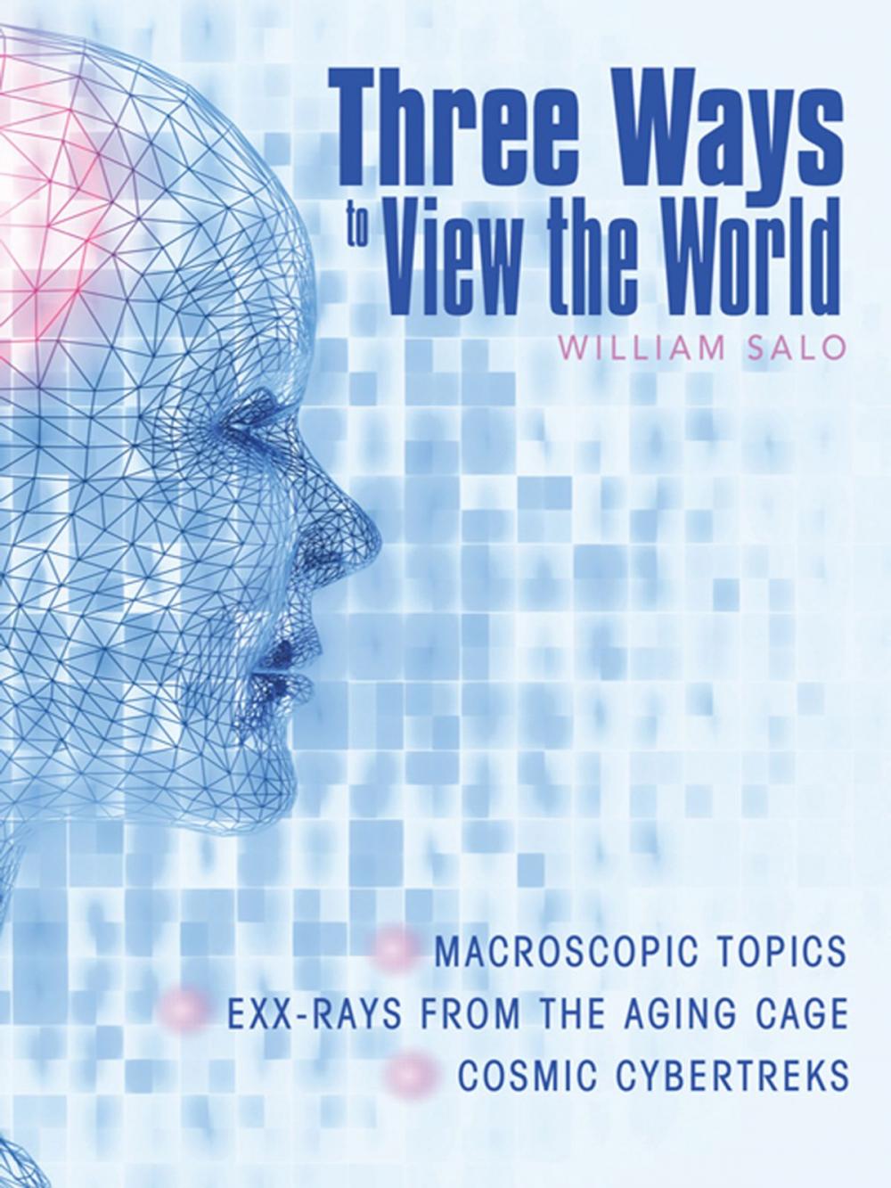 Big bigCover of Three Ways to View the World