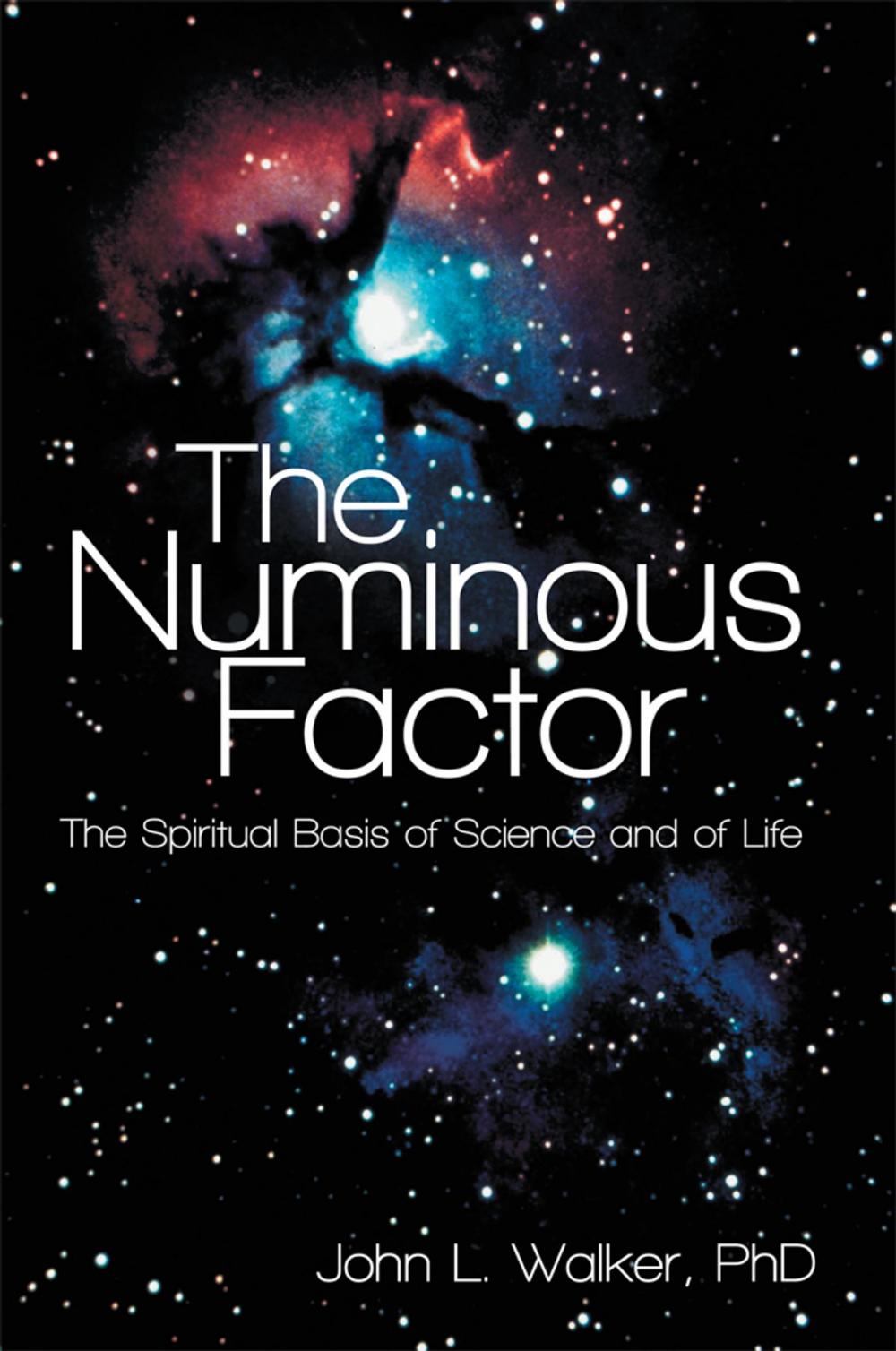 Big bigCover of The Numinous Factor