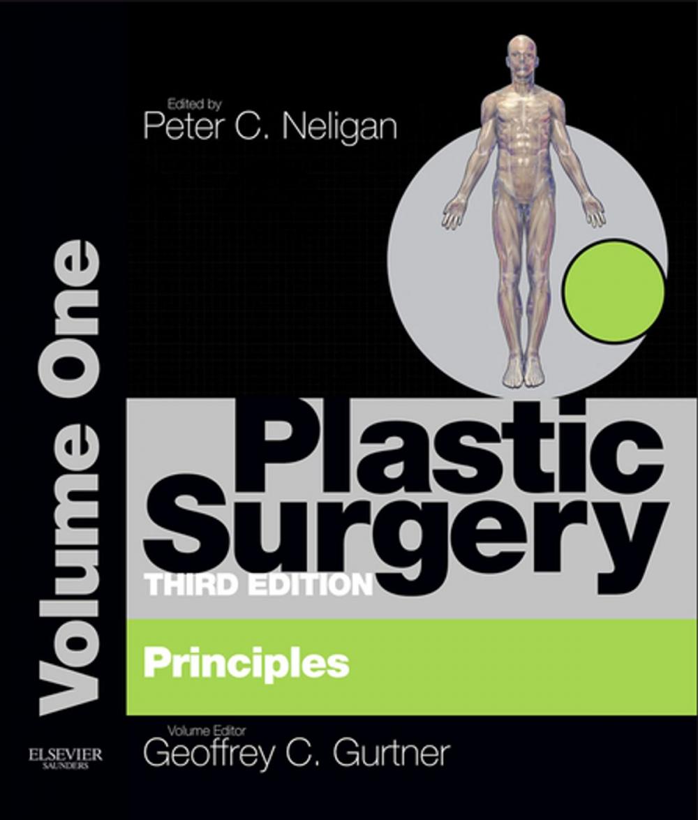 Big bigCover of Plastic Surgery E-Book