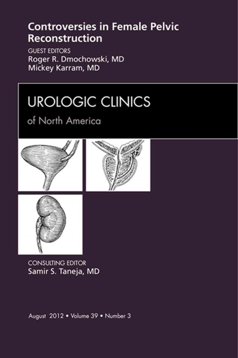 Big bigCover of Controversies in Female Pelvic Reconstruction, An Issue of Urologic Clinics - E-Book