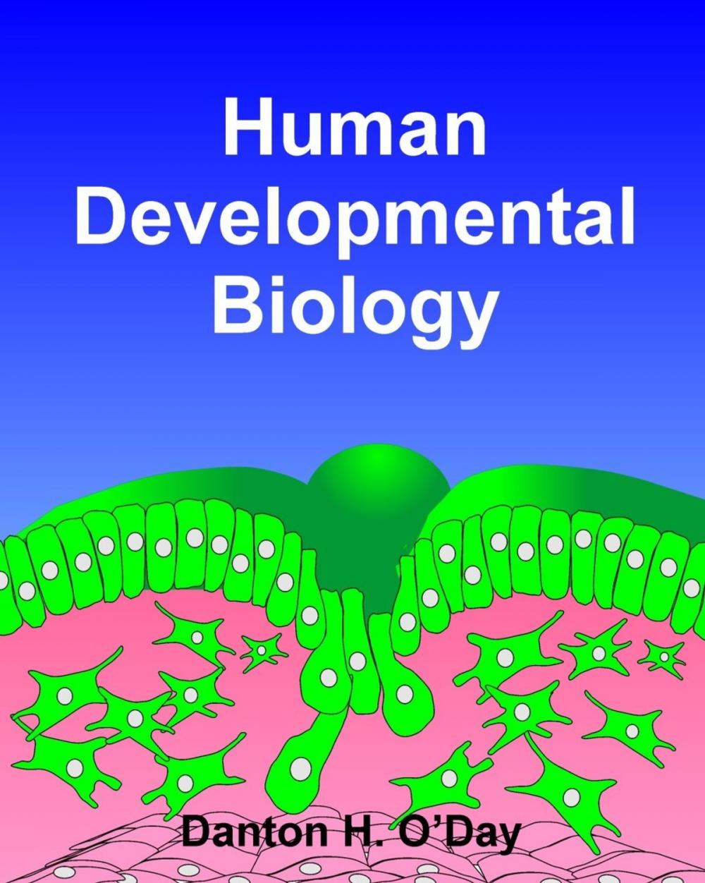 Big bigCover of Human Developmental Biology