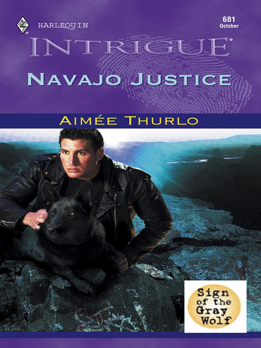 Big bigCover of NAVAJO JUSTICE