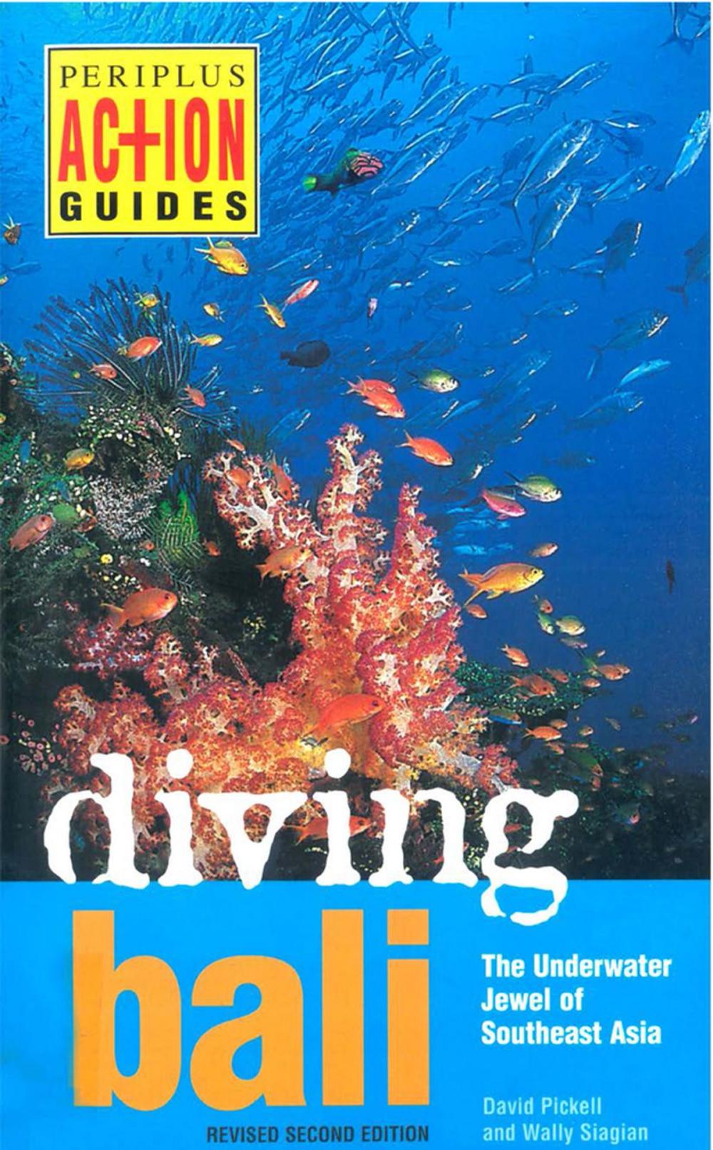 Big bigCover of Diving Bali