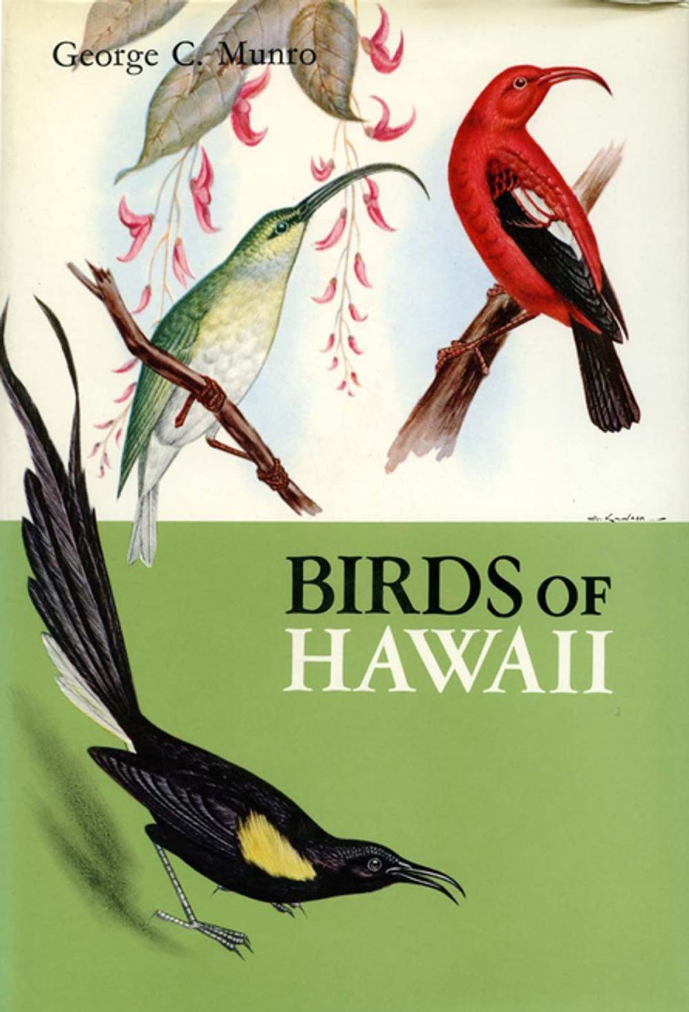 Big bigCover of Birds of Hawaii