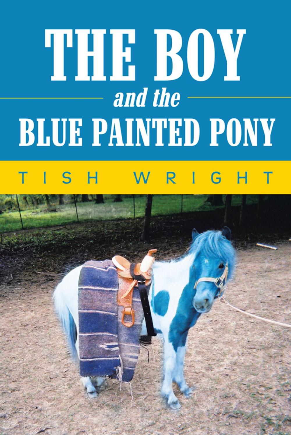 Big bigCover of The Boy and the Blue Painted Pony