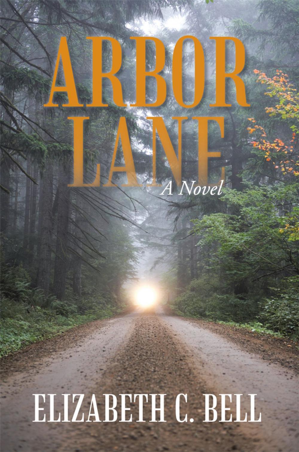 Big bigCover of Arbor Lane