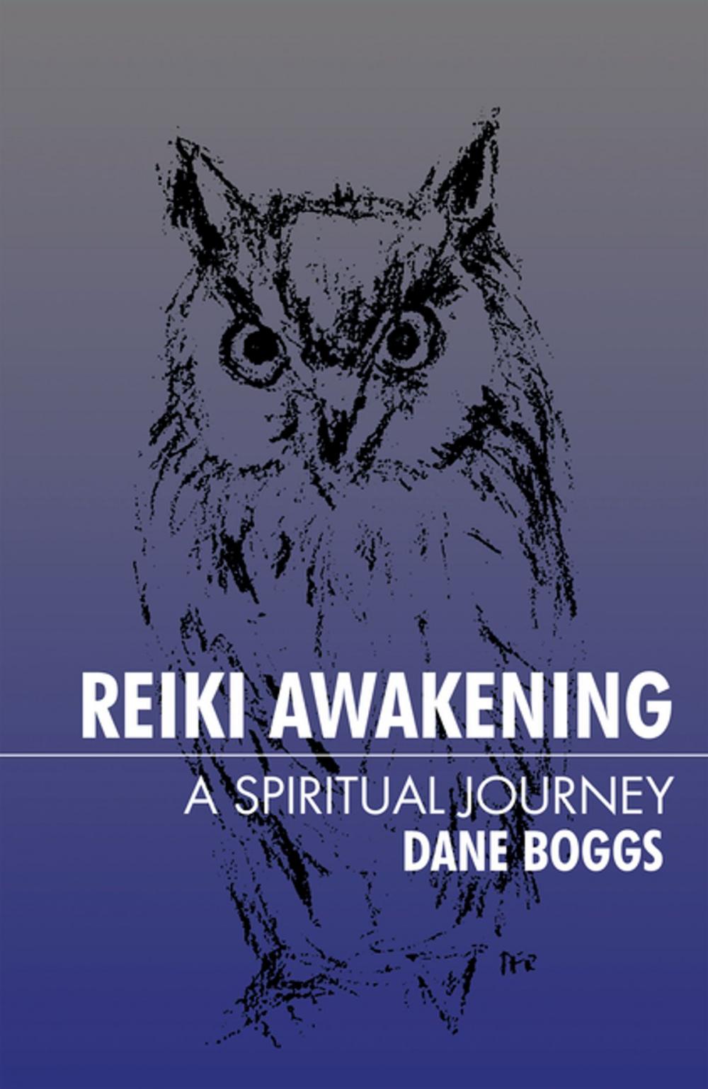 Big bigCover of Reiki Awakening