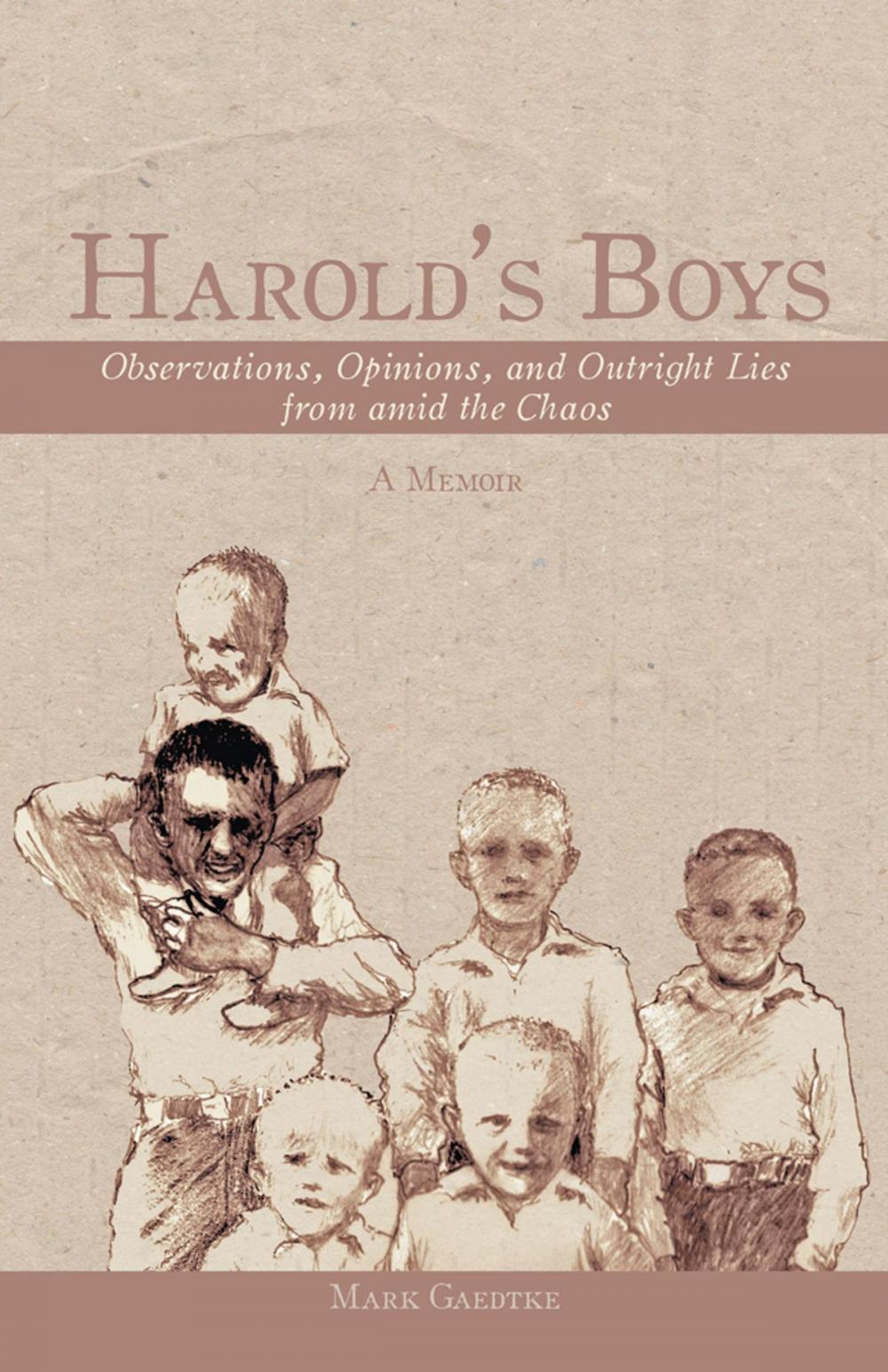 Big bigCover of Harold’S Boys