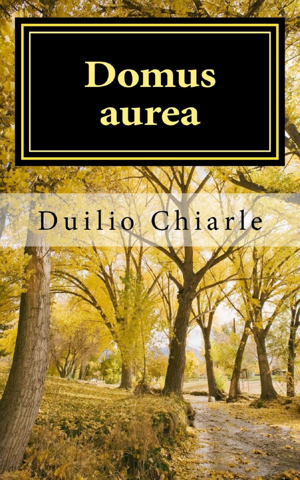 Big bigCover of Domus aurea