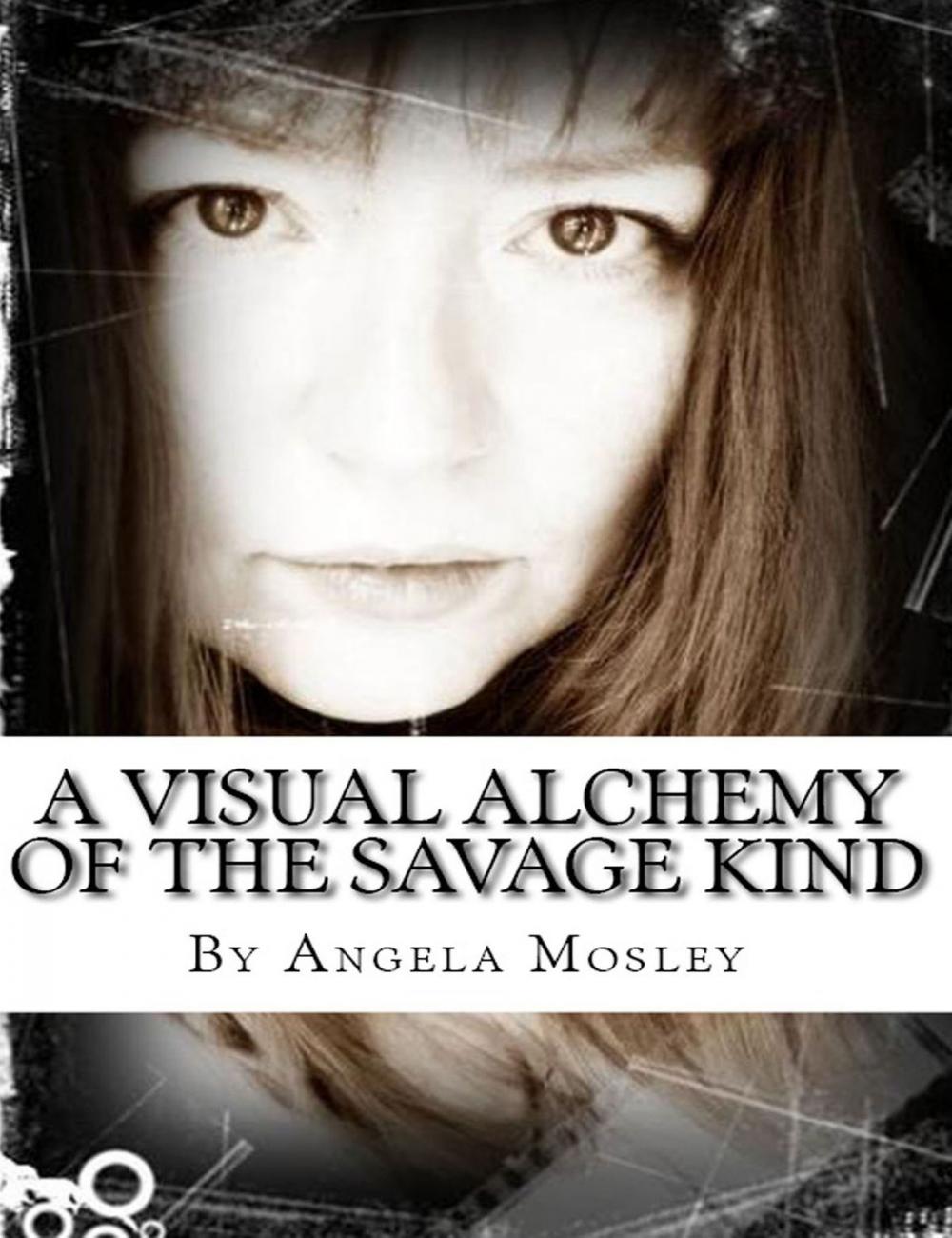 Big bigCover of A Visual Alchemy of the Savage Kind