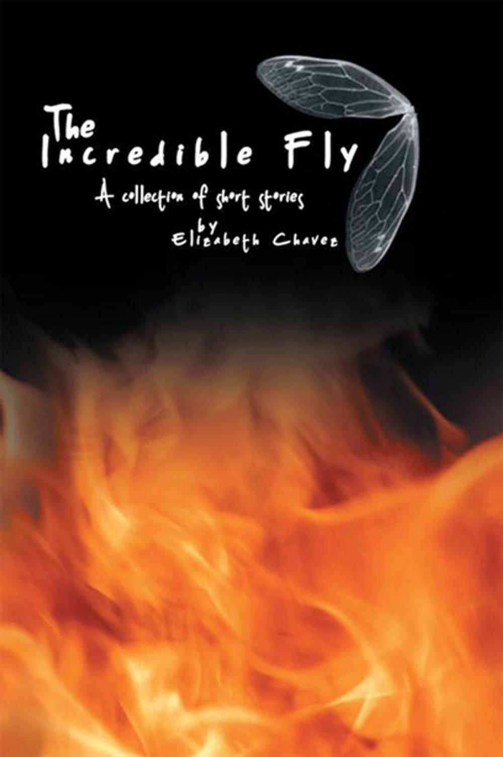 Big bigCover of The Incredible Fly