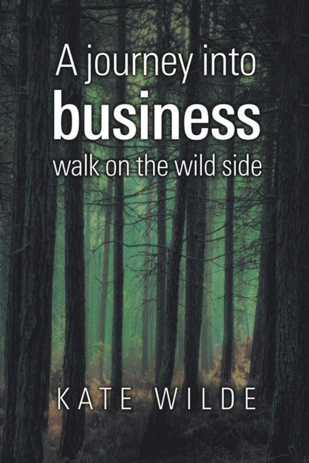 Big bigCover of A Journey into Business