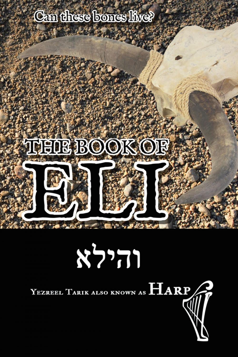 Big bigCover of The Book of Eli