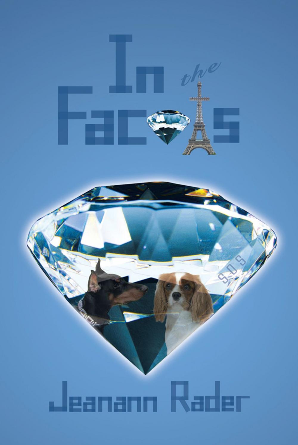 Big bigCover of In the Facets…