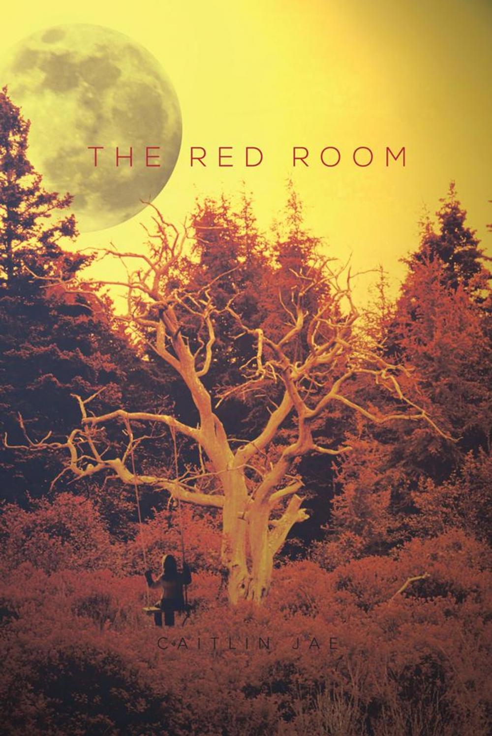 Big bigCover of The Red Room