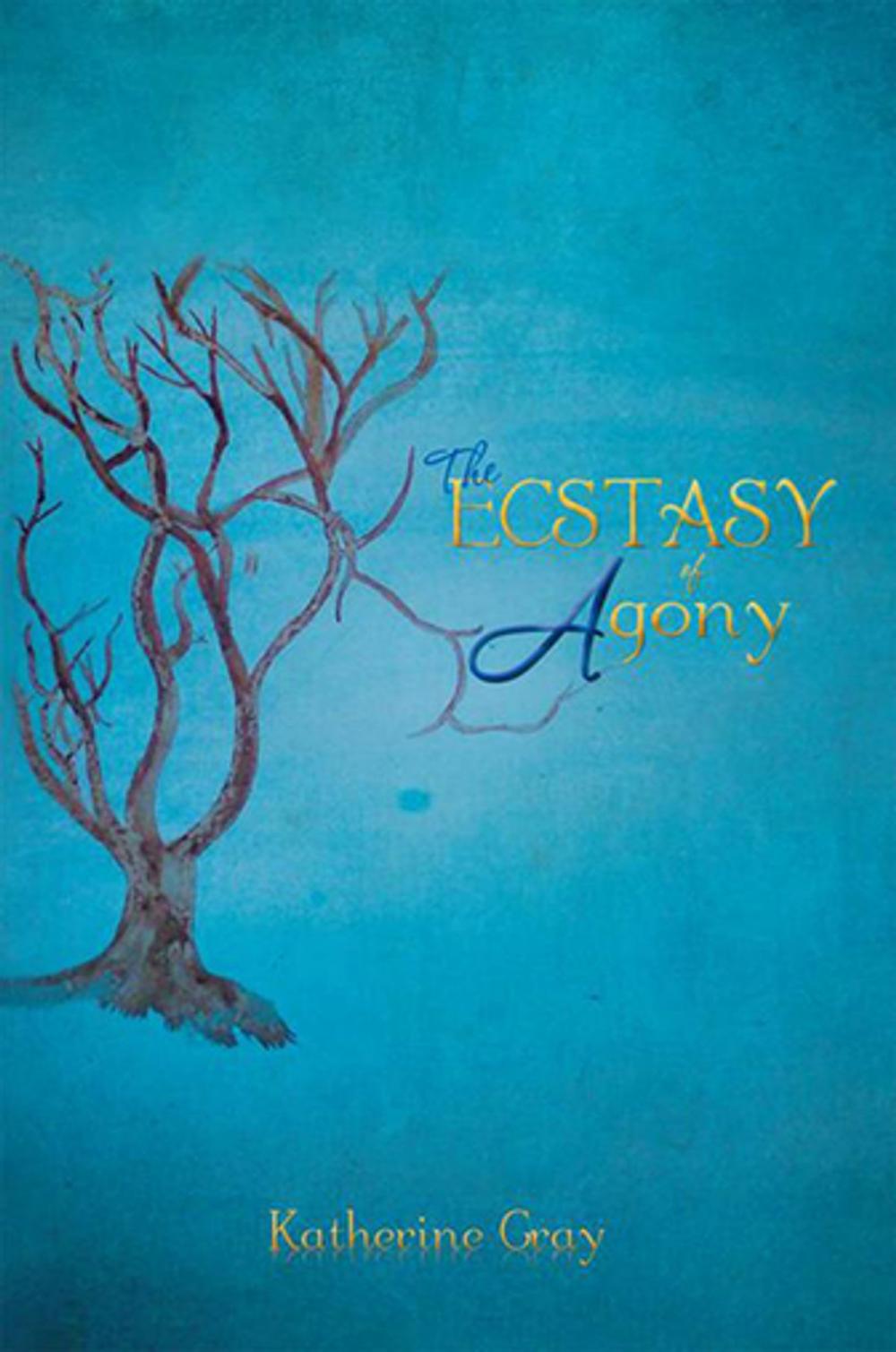 Big bigCover of The Ecstasy of Agony