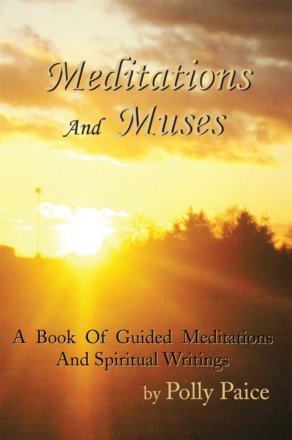 Big bigCover of Meditations and Muses