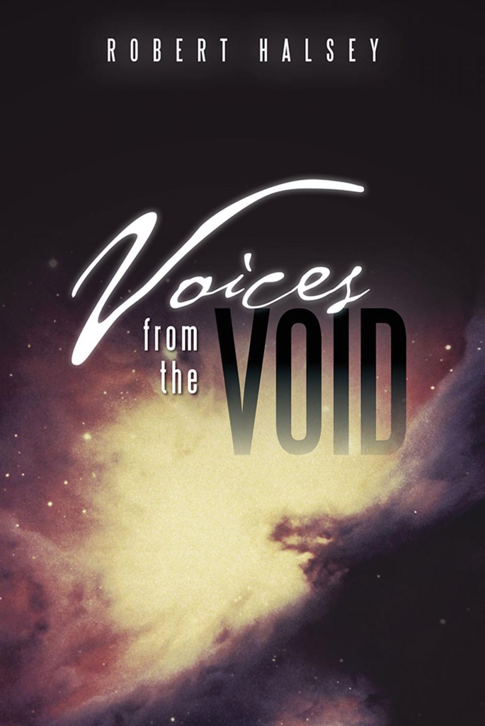 Big bigCover of Voices from the Void