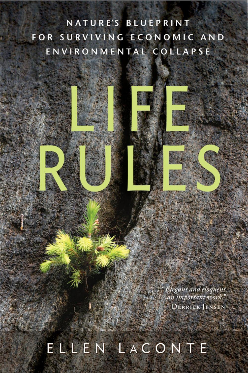 Big bigCover of Life Rules: Nature's Blueprint for Surviving Economic and Environmental Collapse