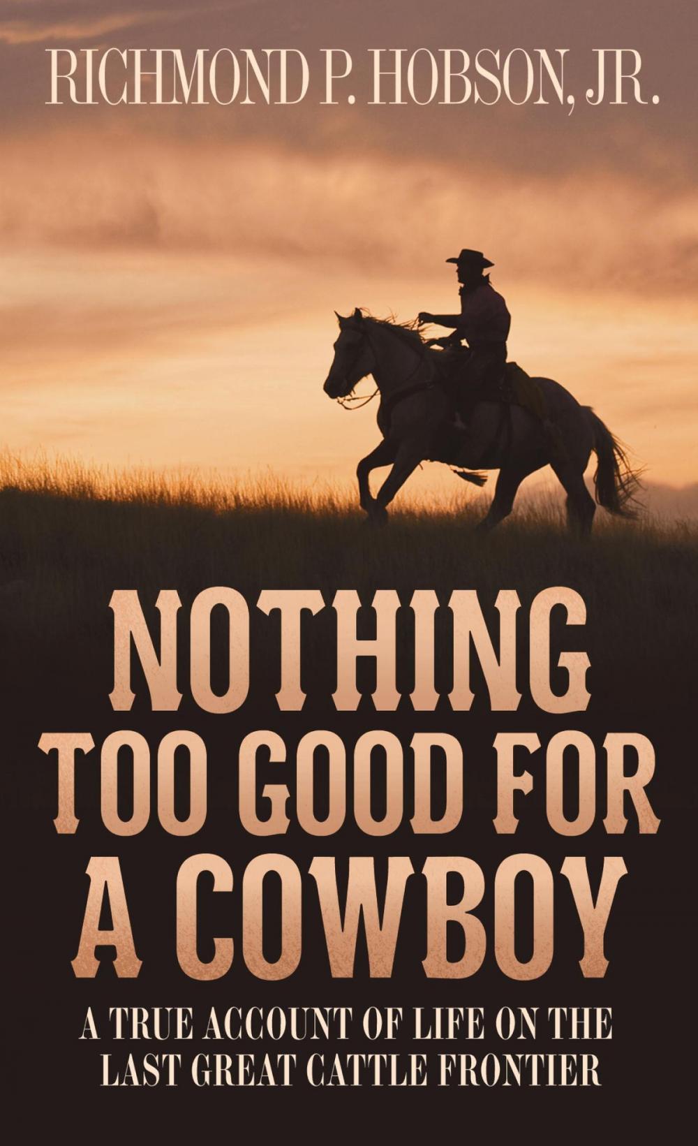 Big bigCover of Nothing Too Good for a Cowboy