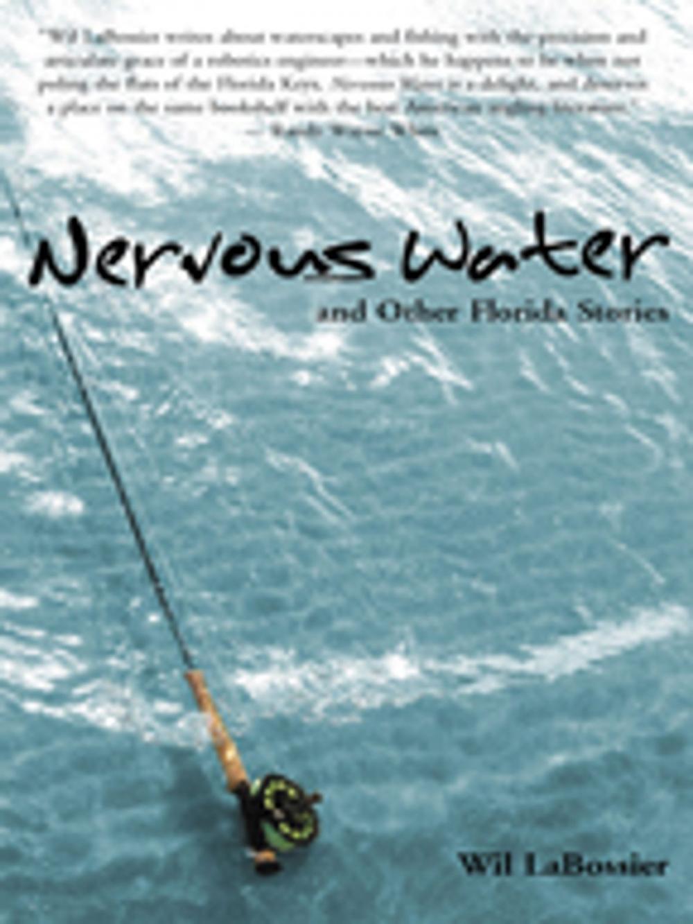 Big bigCover of Nervous Water and Other Florida Stories