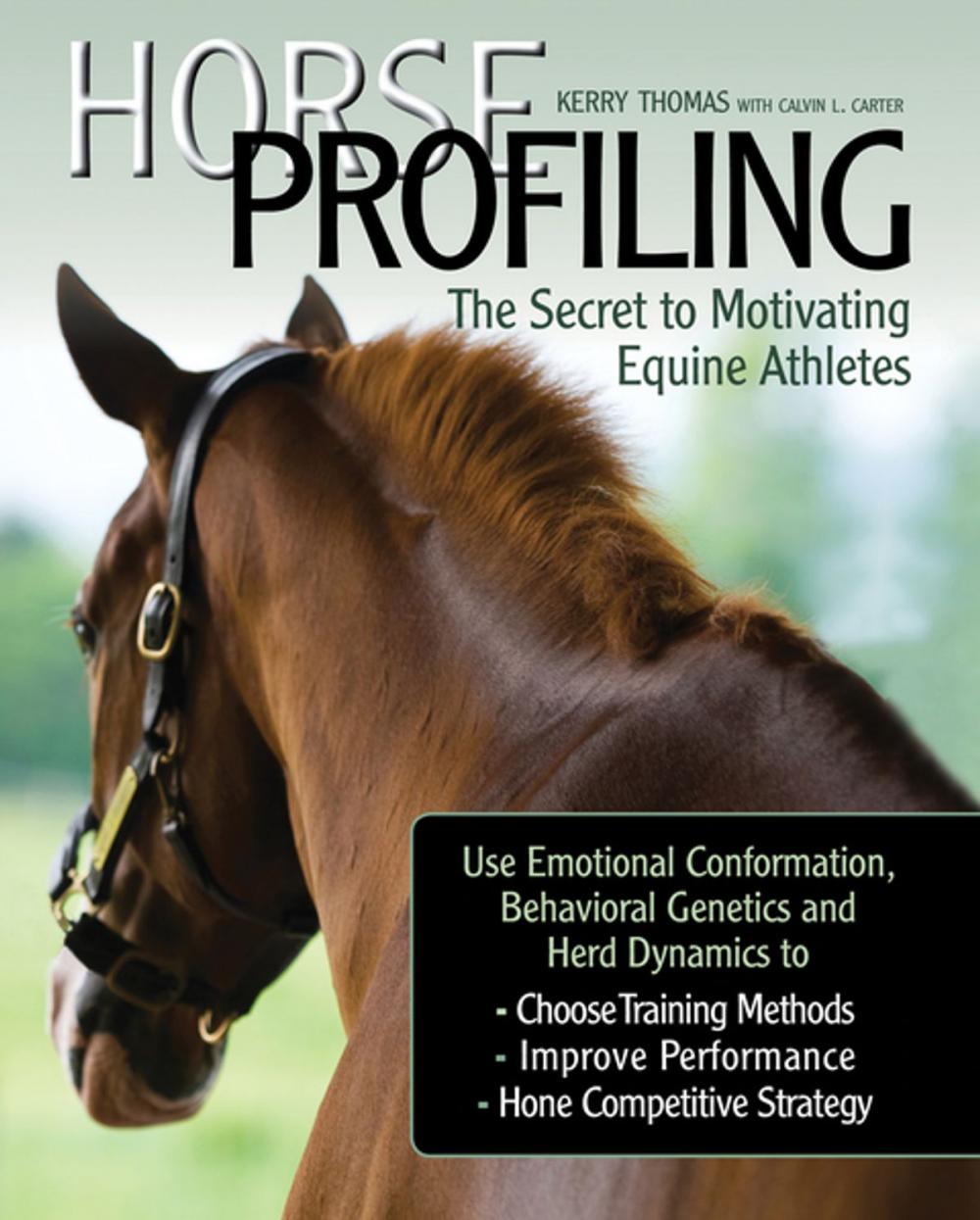 Big bigCover of Horse Profiling: The Secret to Motivating Equine Athletes