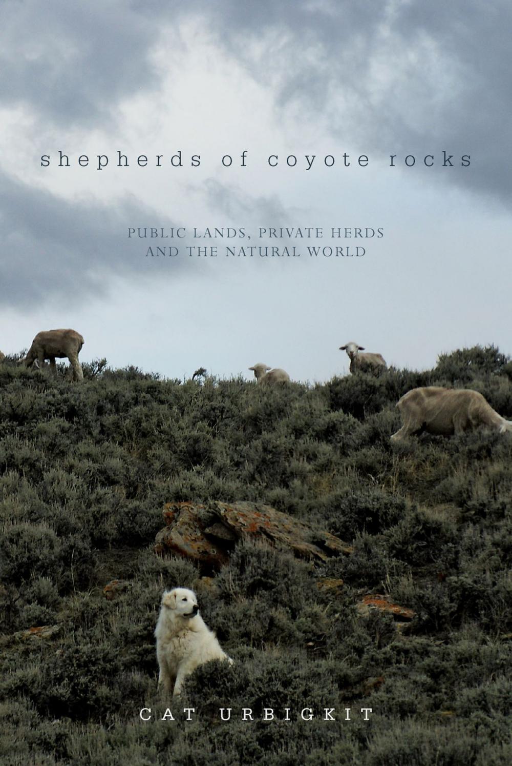 Big bigCover of Shepherds of Coyote Rocks: Public Lands, Private Herds and the Natural World