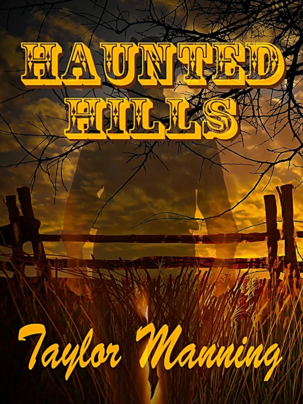 Big bigCover of Haunted Hills