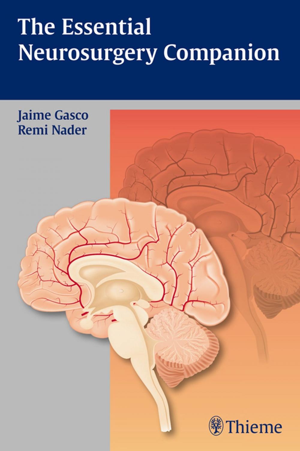 Big bigCover of Essential Neurosurgery Companion