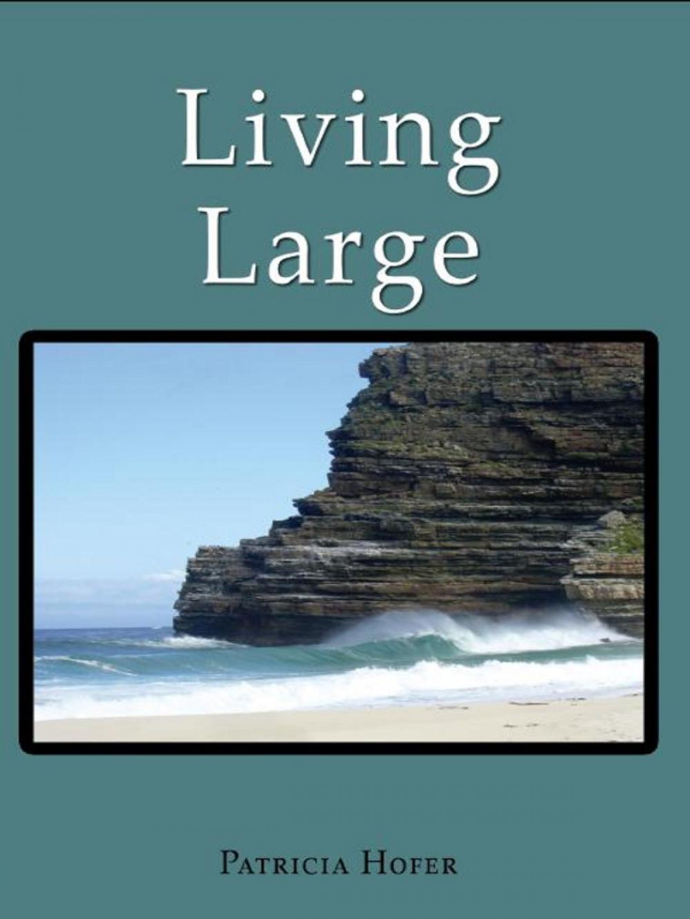 Big bigCover of Living Large