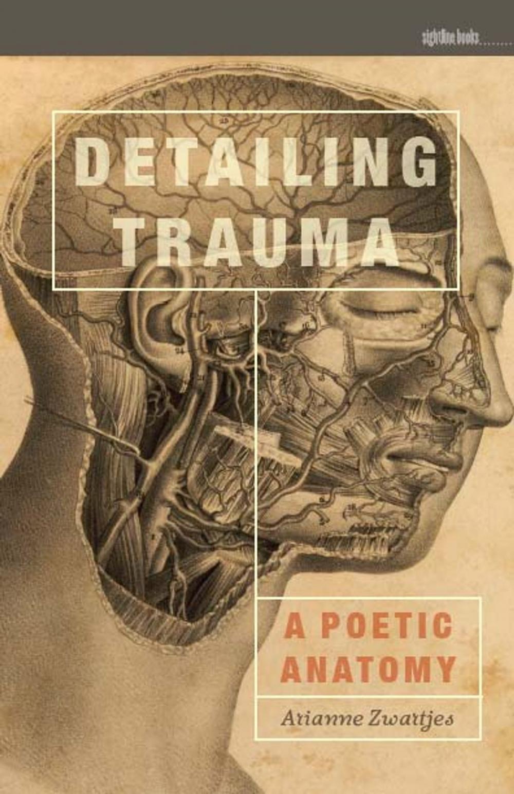 Big bigCover of Detailing Trauma