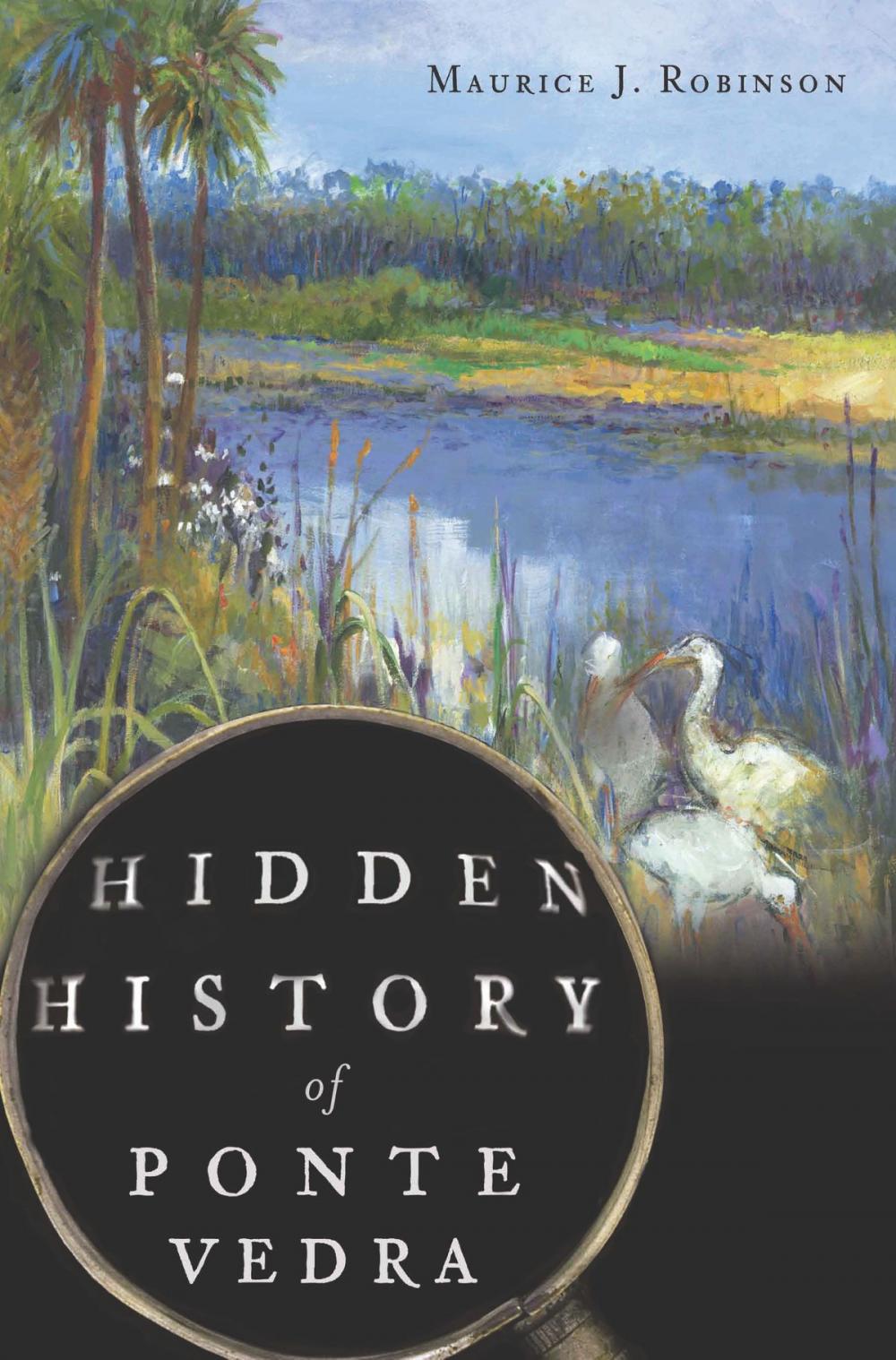 Big bigCover of Hidden History of Ponte Vedra