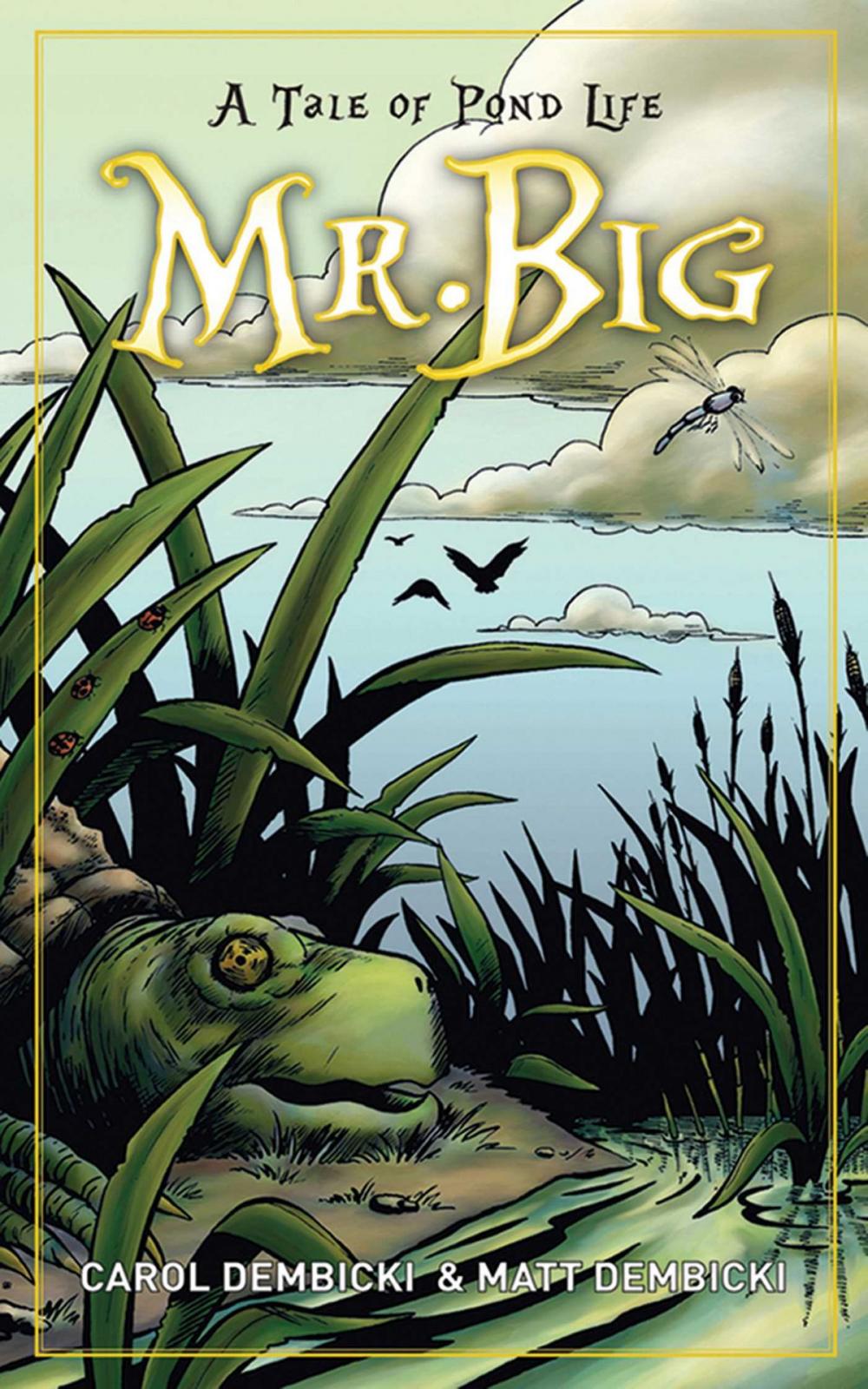 Big bigCover of Mr. Big