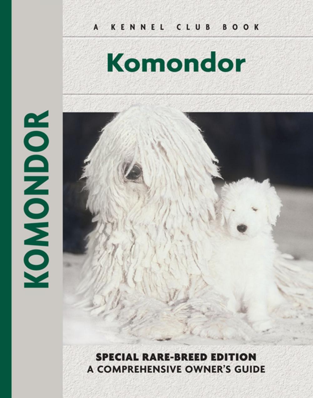 Big bigCover of Komondor