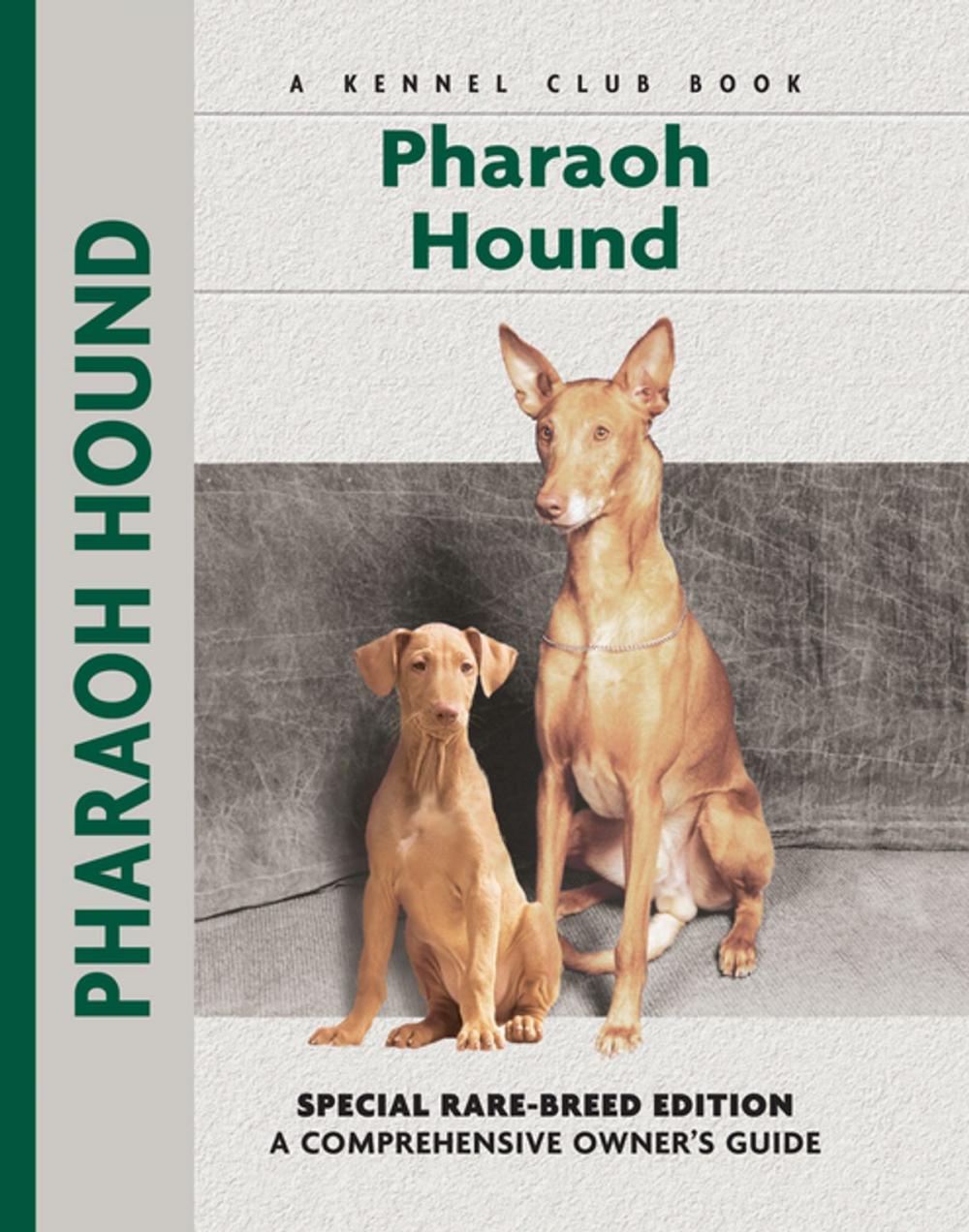 Big bigCover of Pharaoh Hound