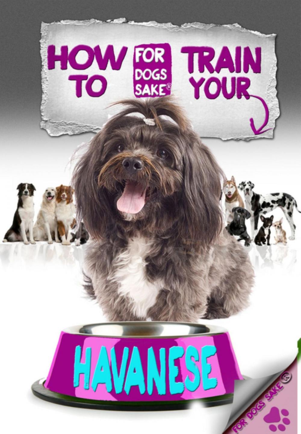 Big bigCover of How to Train Your Havanese