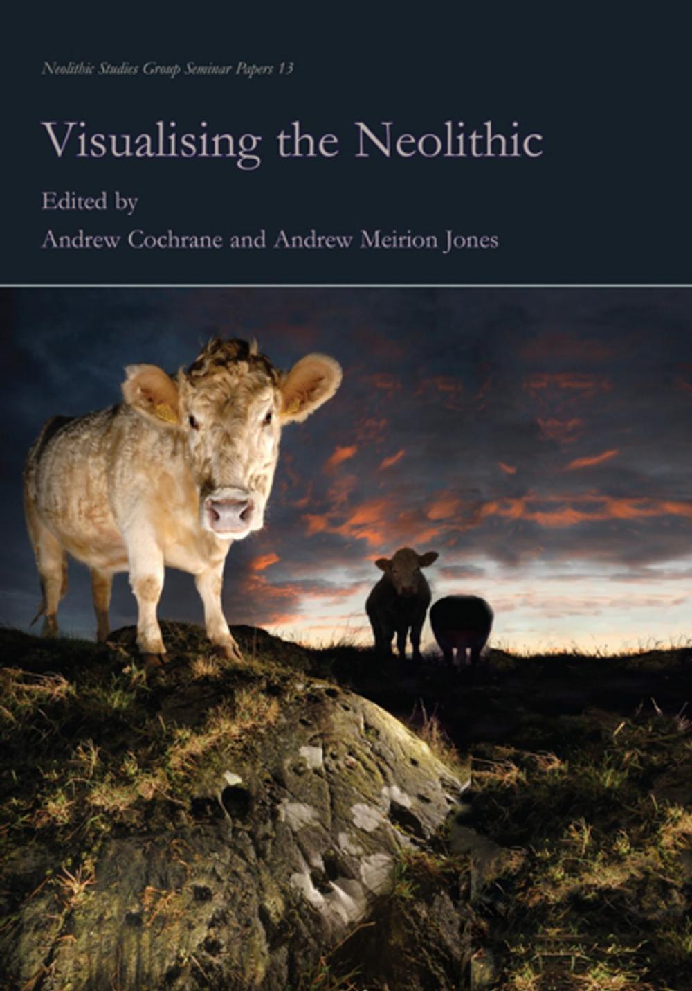 Big bigCover of Visualising the Neolithic