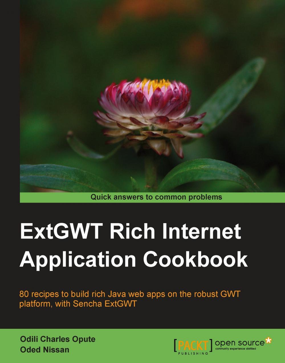 Big bigCover of ExtGWT Rich Internet Application Cookbook