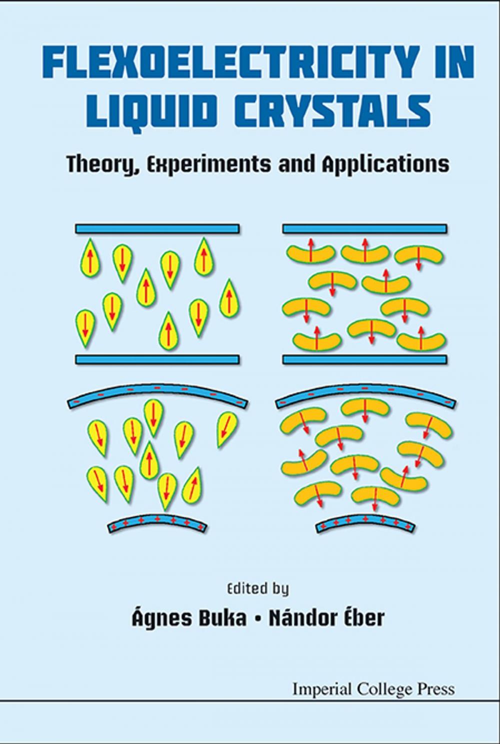 Big bigCover of Flexoelectricity in Liquid Crystals