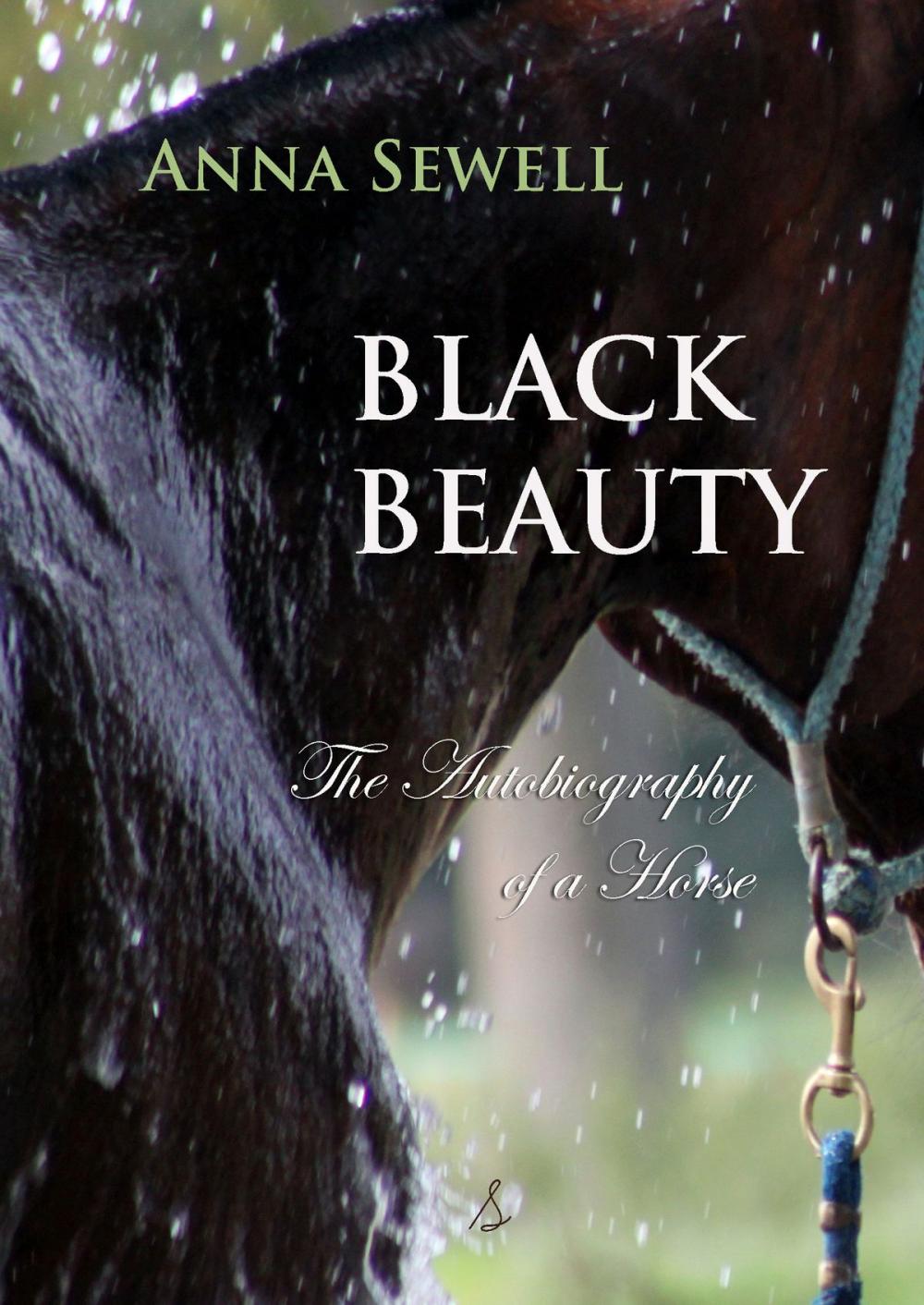 Big bigCover of Black Beauty