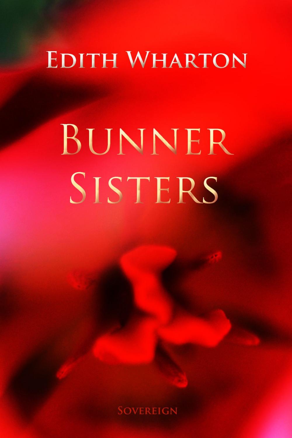 Big bigCover of Bunner Sisters