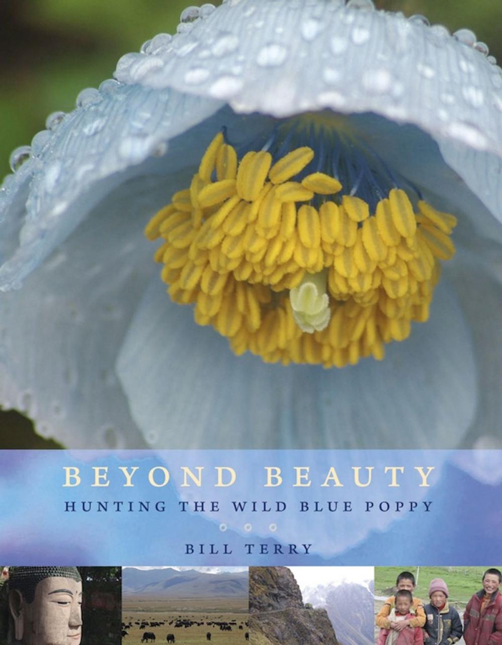 Big bigCover of Beyond Beauty