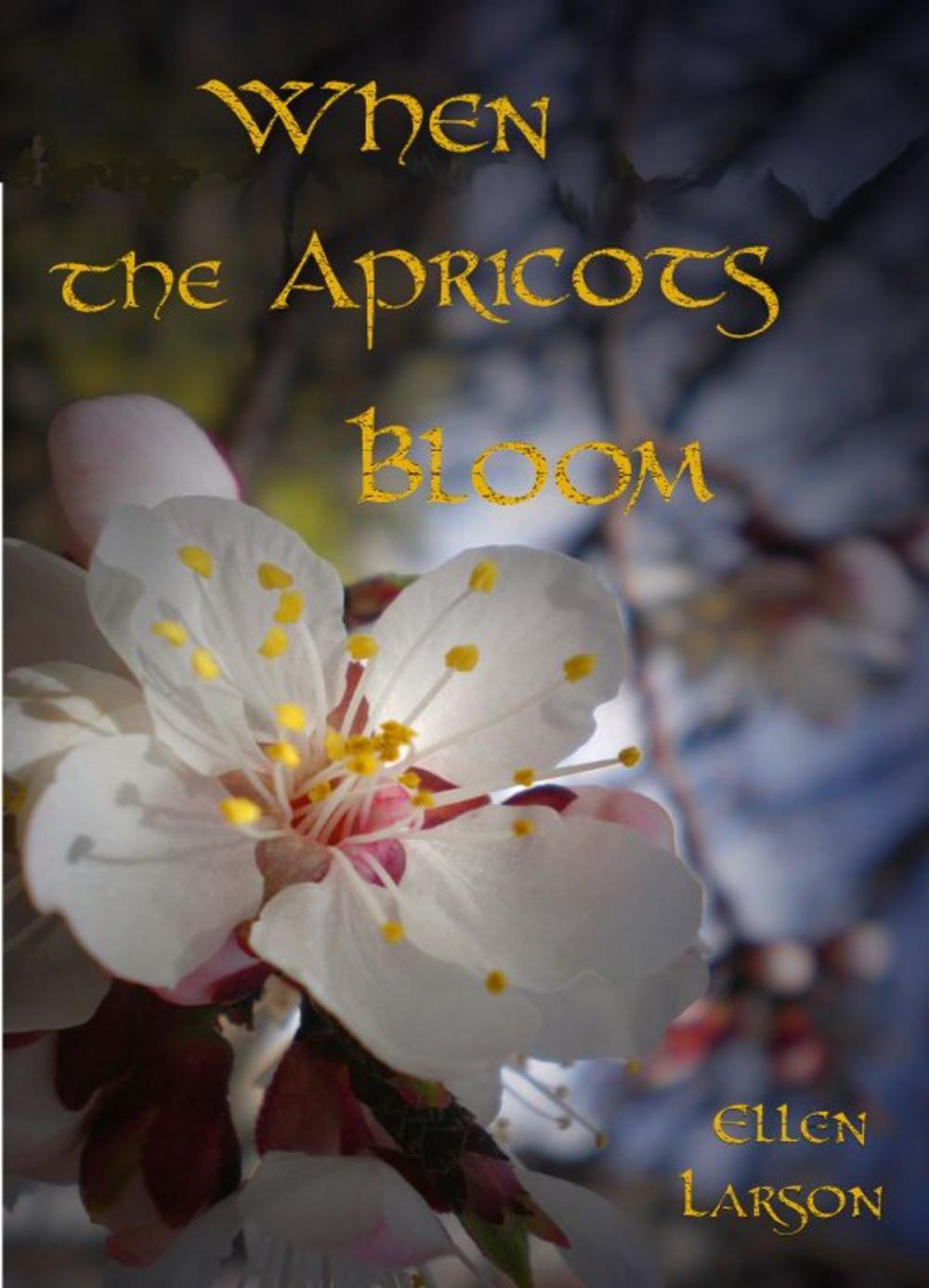 Big bigCover of When the Apricots Bloom