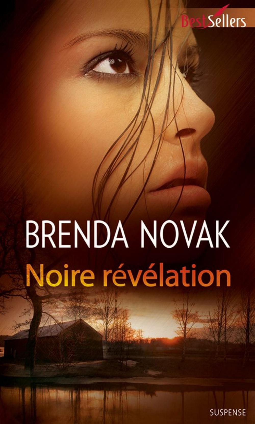 Big bigCover of Noire révélation