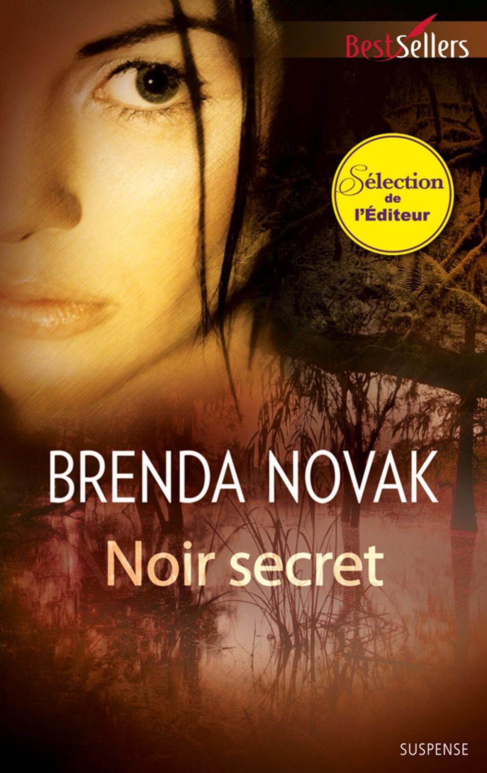 Big bigCover of Noir secret