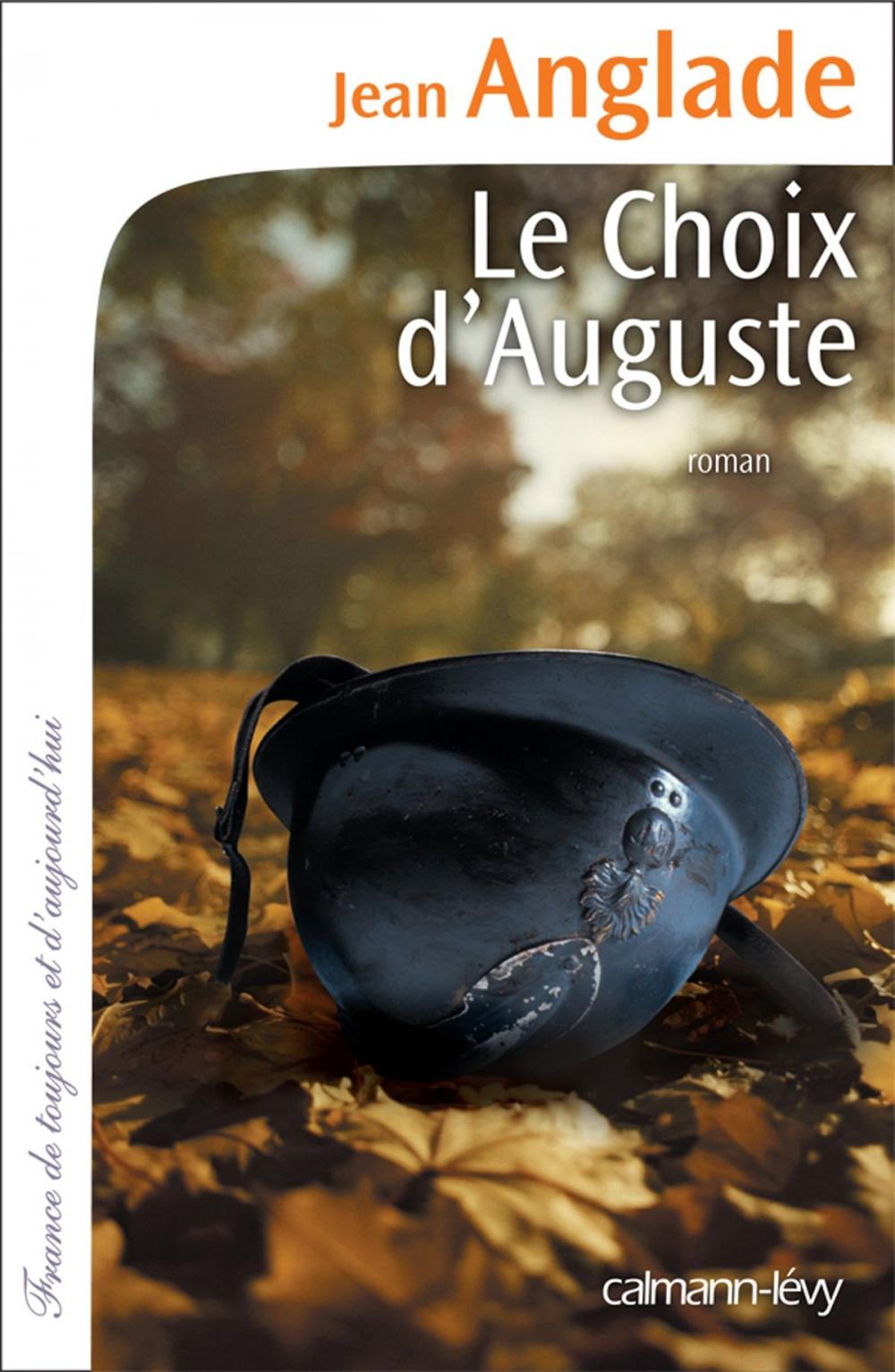 Big bigCover of Le Choix d'Auguste