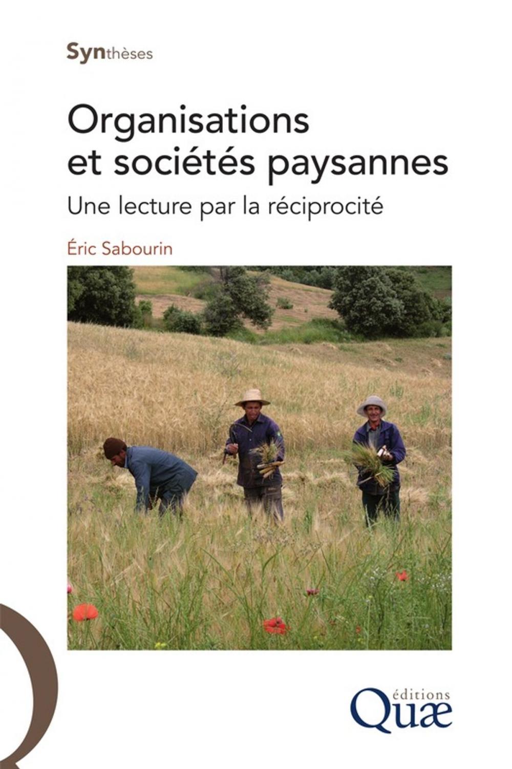 Big bigCover of Organisation et sociétés paysannes