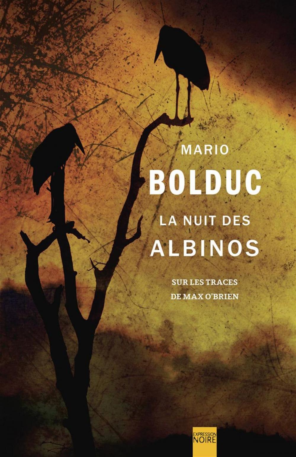 Big bigCover of La Nuit des albinos