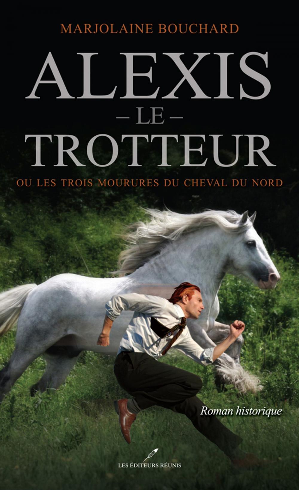 Big bigCover of Alexis le Trotteur