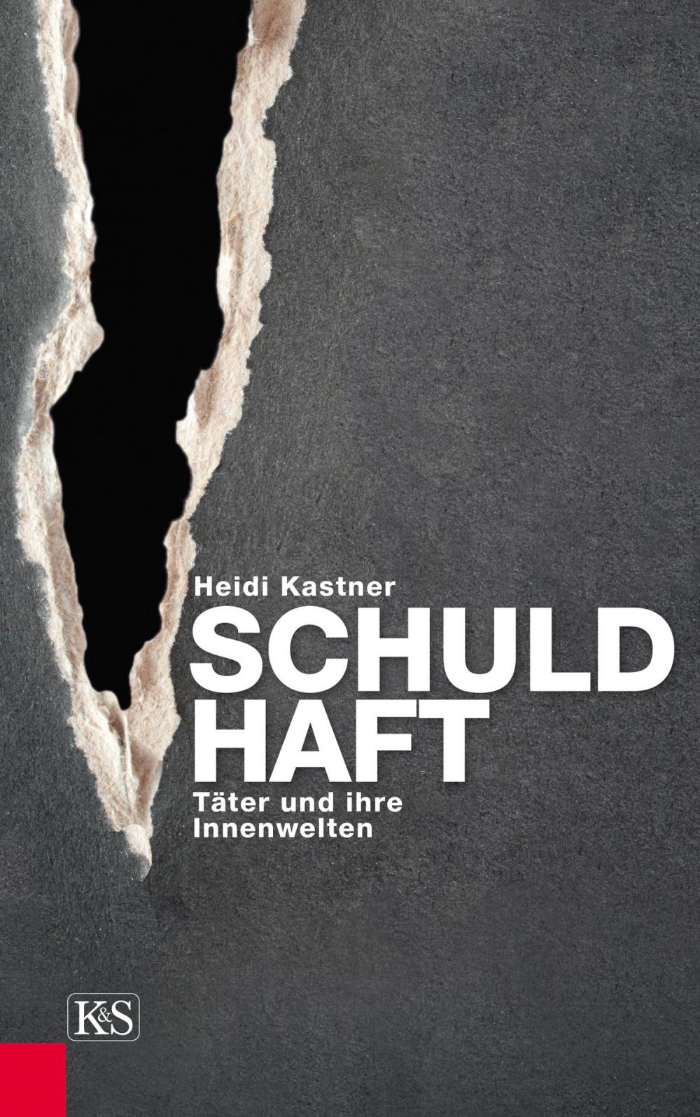 Big bigCover of Schuld-Haft